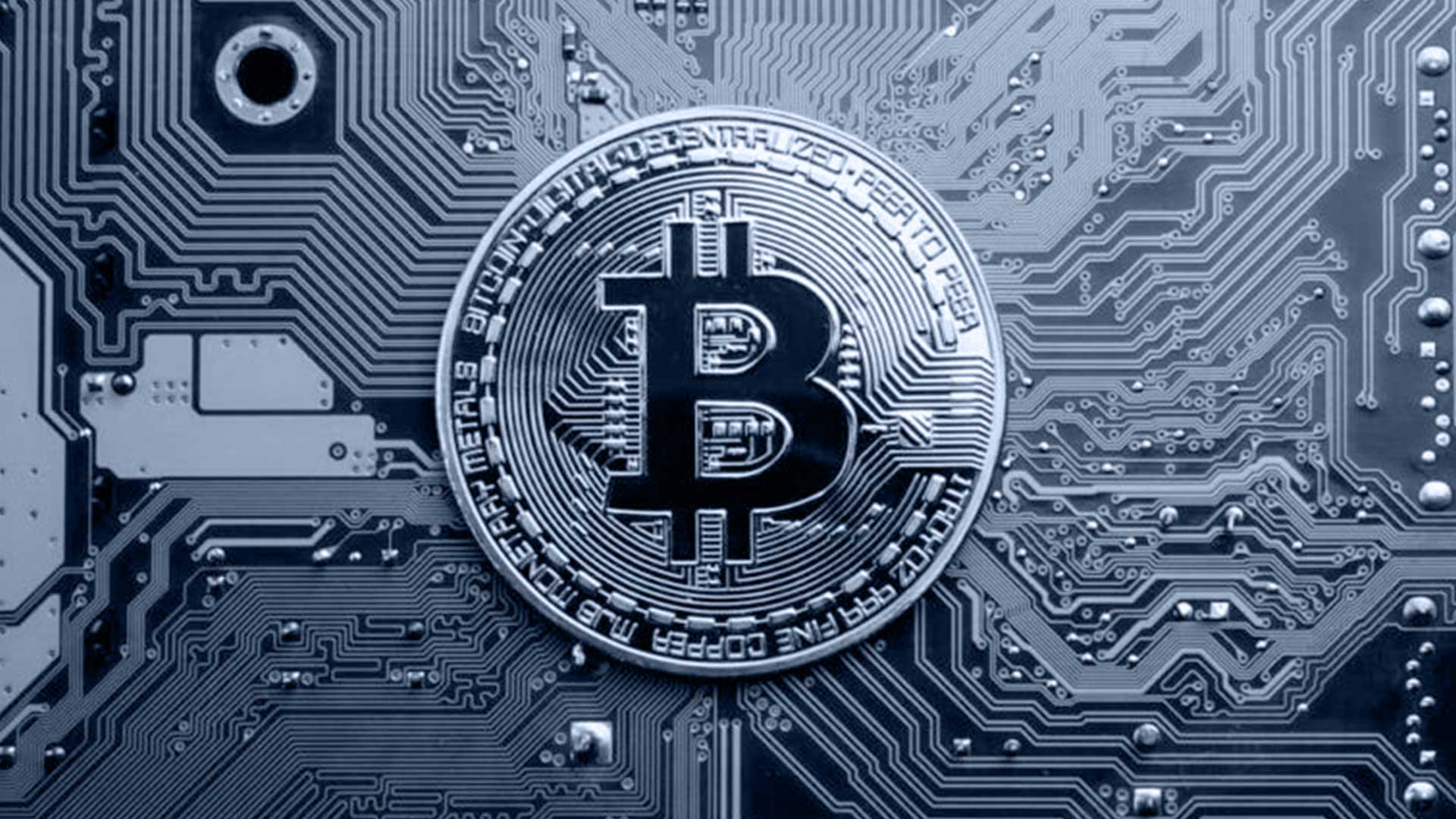 Bitcoin & Crypto Consulting